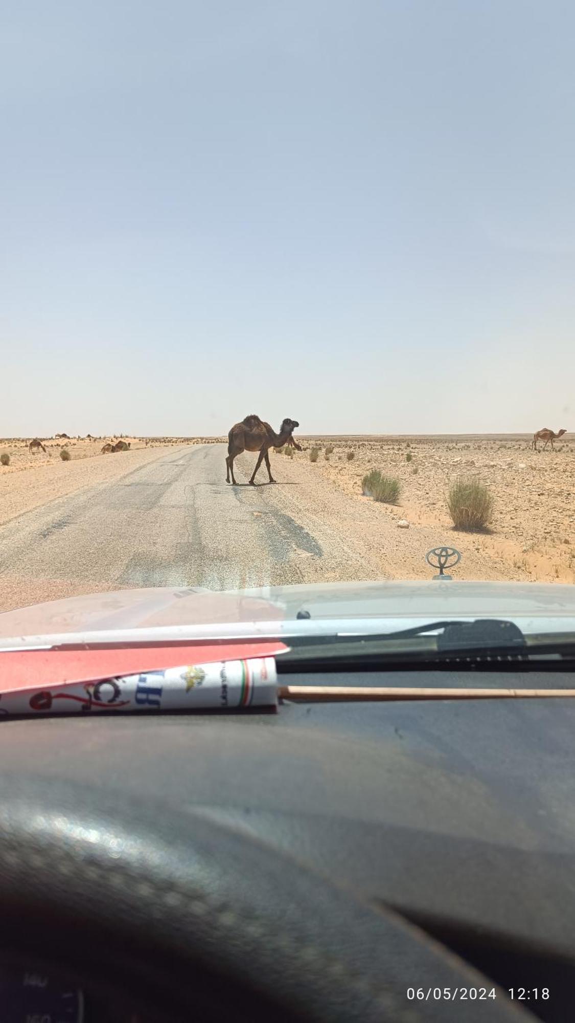 Dar Lagune Djerba Vue De Mer Al Haddadah Екстер'єр фото