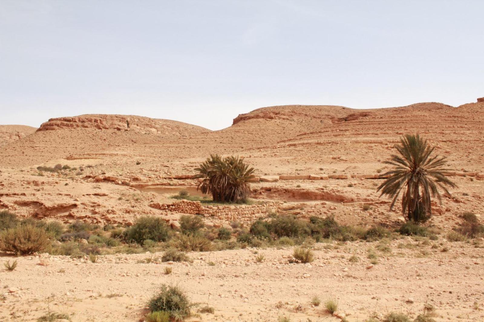 Dar Lagune Djerba Vue De Mer Al Haddadah Екстер'єр фото