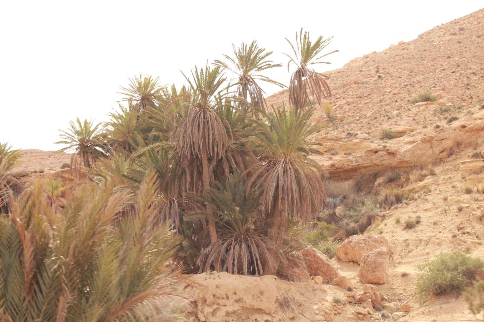 Dar Lagune Djerba Vue De Mer Al Haddadah Екстер'єр фото
